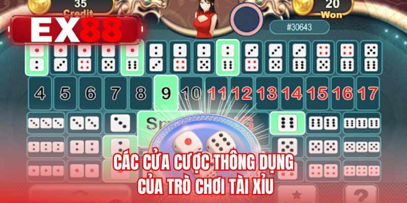 Các cửa cược thông dụng của trò chơi tài xỉu