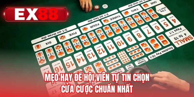 Mẹo hay để hội viên tự tin chọn cửa cược chuẩn nhất
