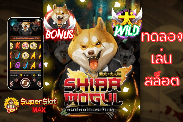 Shiba Mogul