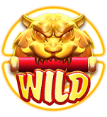 สัญลักษณ์ wild